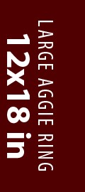 Large Aggie Ring - 12x18in